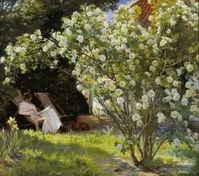 Marie in a deckchair, reading